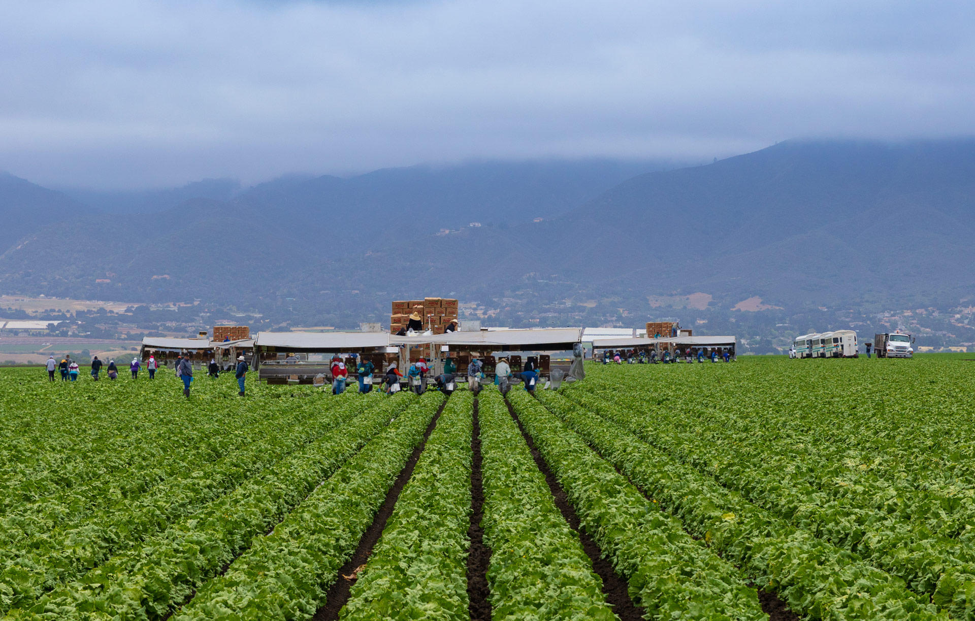 agricolture-california-coast